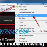 Opera-private-tab
