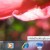 hide-desktop icon
