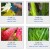 leaves-and-flowers-wallpaer