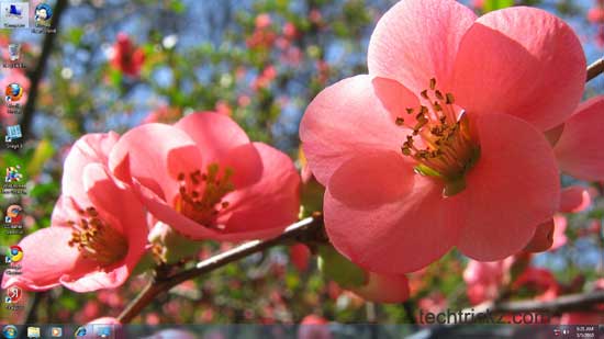 free spring wallpapers for desktop. A theme comprises desktop