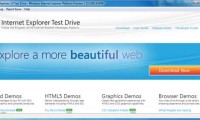 IE10-demo