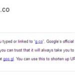 Google-g.co