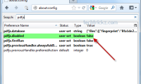 Firefox-15-about-config-1