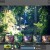 Pixlr-Express-for-Chrome