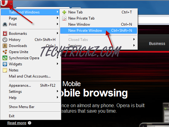 Opera-private-window