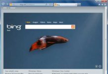 Bing-Homepage-with-betta-fish