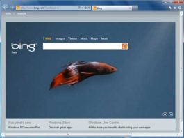 Bing-Homepage-with-betta-fish