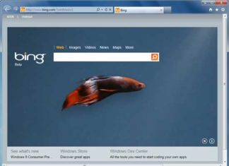 Bing-Homepage-with-betta-fish