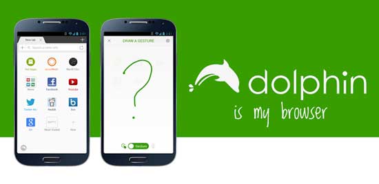 Dolphin-Browser-For-Android