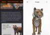 Google-AR-animals