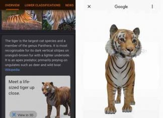 Google-AR-animals