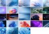 Windows-365-Cloud-OS-wallpapers-preview