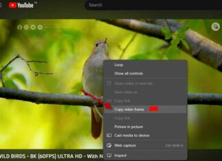 Copy-Video-Frame-option-in-Edge-browser