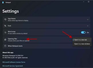 Windows-11-Notepad-tabbed-interface-issue