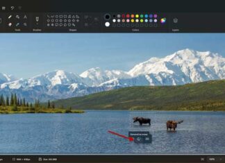 Remove-precise-area-from-images-using-Paint-app