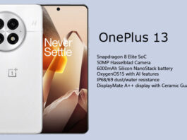 OnePlus-13