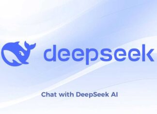 Chat With DeepSeek AI