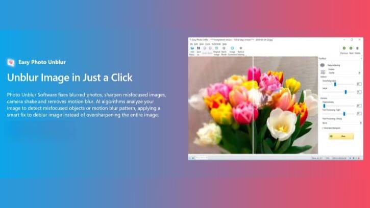 SoftOrbits Easy Photo Unblur app for Windows