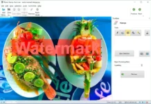 SoftOrbits Photo Stamp Remover UI