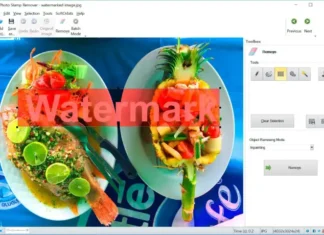 SoftOrbits Photo Stamp Remover UI