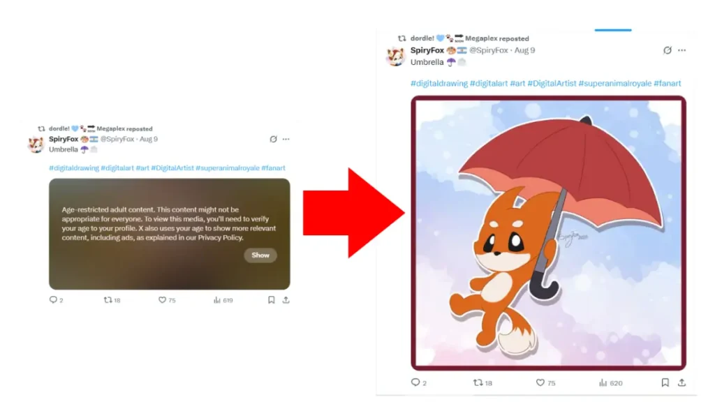 Age verification on X/Twitter
