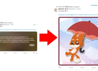 Age verification on X_Twitter