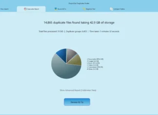 DupInOut Duplicate Finder