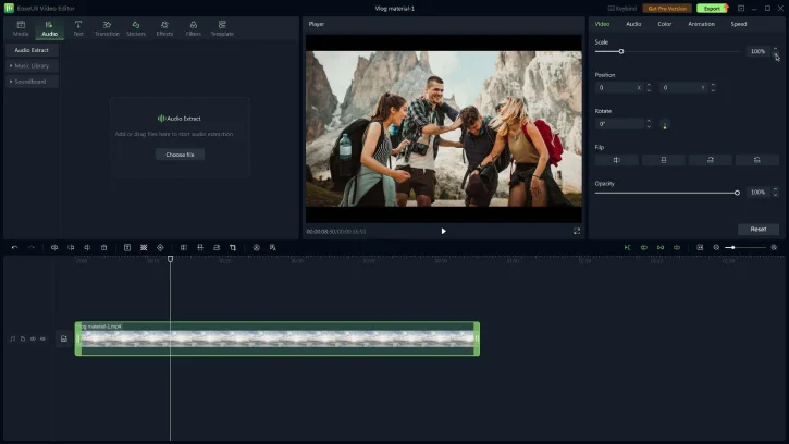 EaseUS Video Editor UI