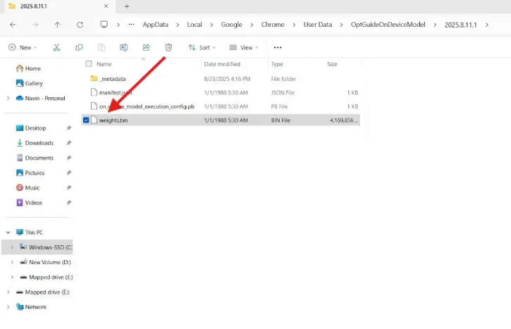 Delete Weights-bin file from Windows